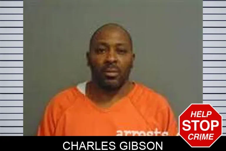 Charles Gibson