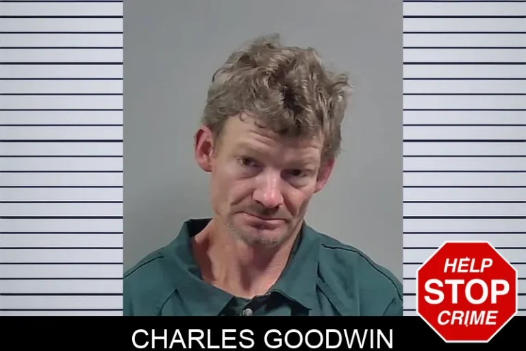 Charles Goodwin