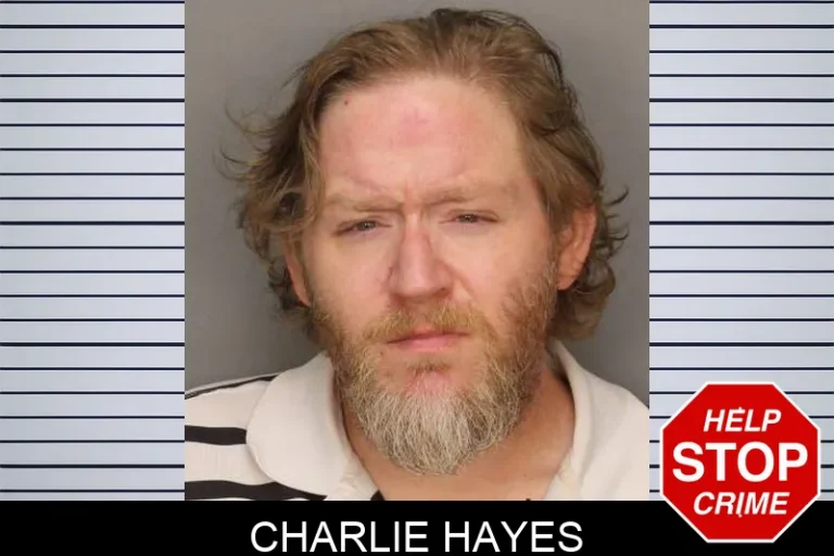 Charlie Hayes