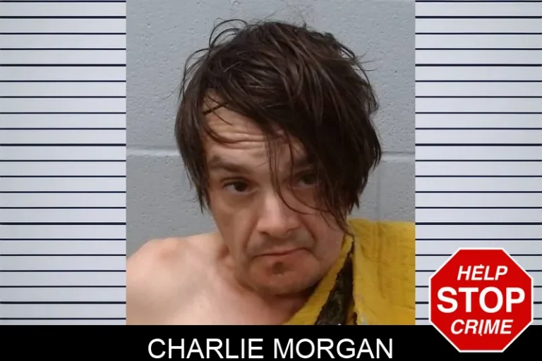 Charlie Morgan