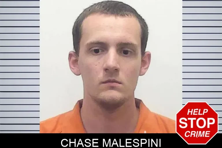 Chase Malespini
