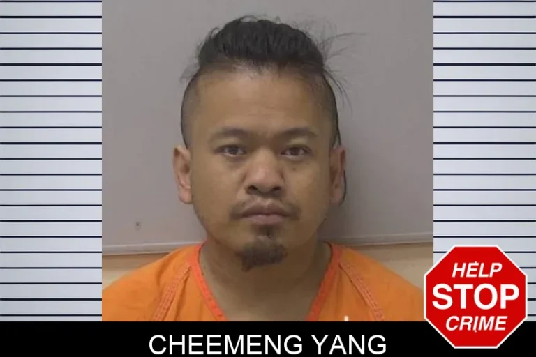 Cheemeng Yang