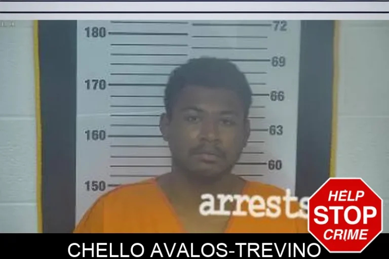 Chello Avalos-Trevino