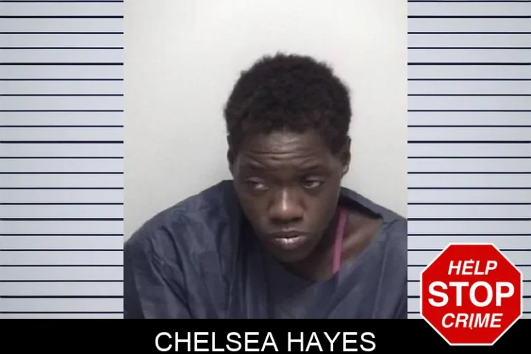 Chelsea Hayes