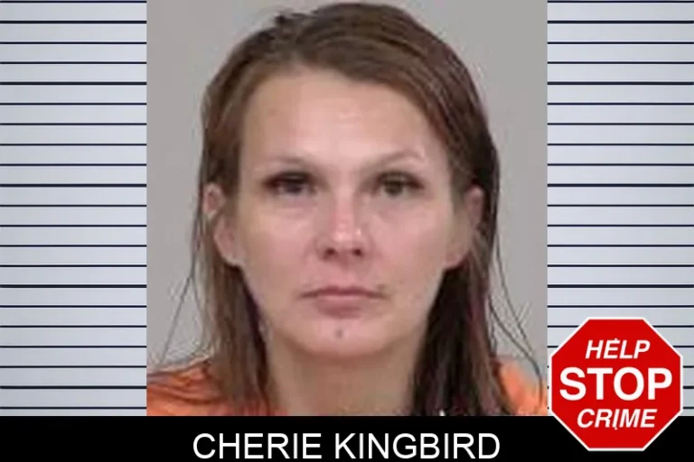Cherie Kingbird