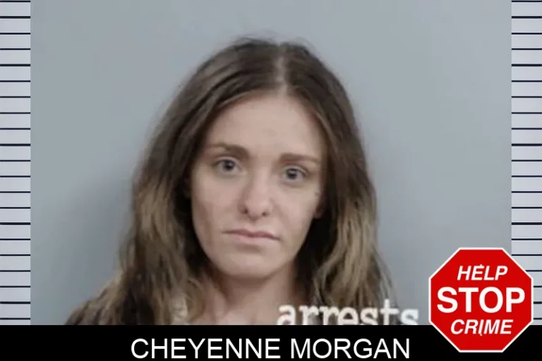 Cheyenne Morgan