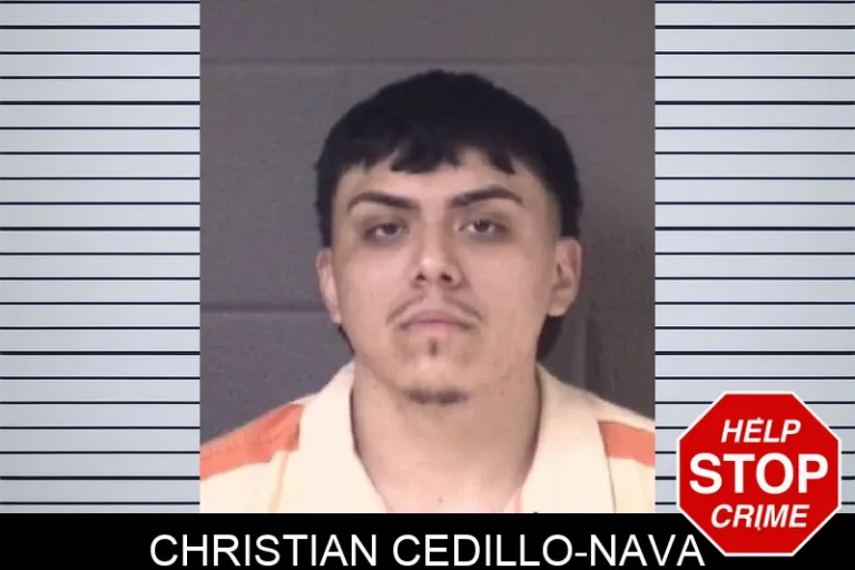Christian Cedillo-Nava