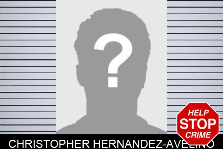 Christopher Hernandez-Avelino