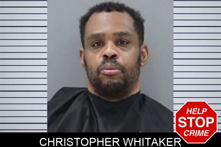 Christopher Whitaker