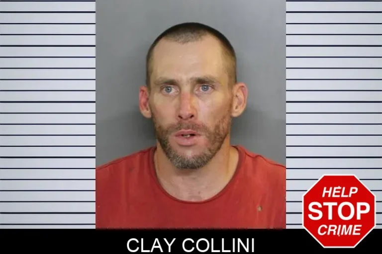Clay Collini