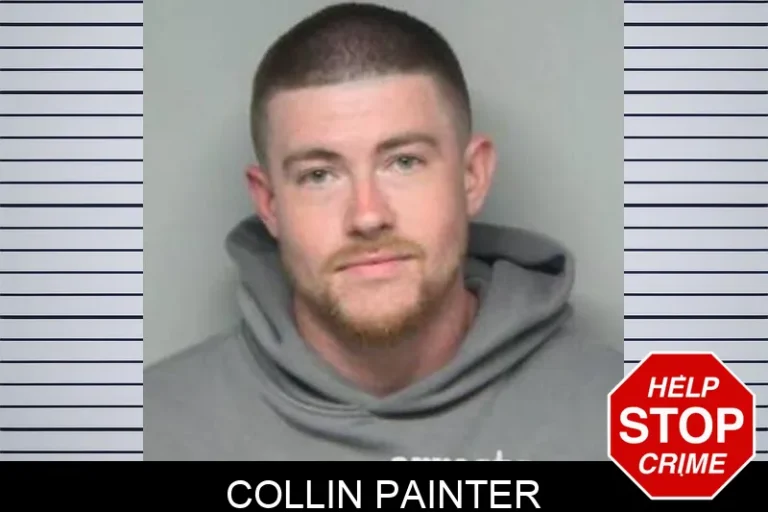 Collin Painter