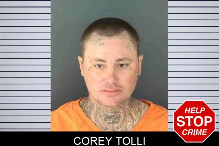 Corey Tolli
