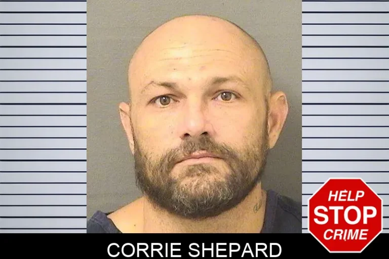Corrie Shepard