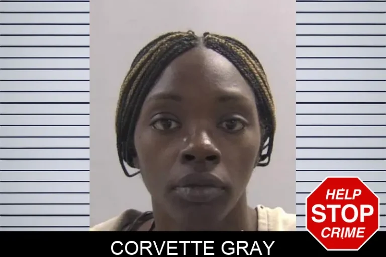 Corvette Gray
