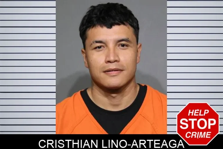 Cristhian Lino-Arteaga