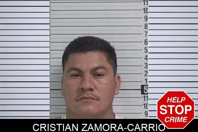 Cristian Zamora-Carrio