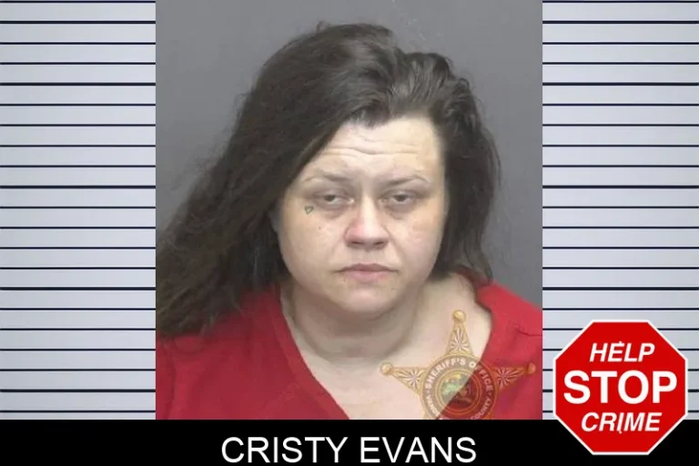 Cristy Evans