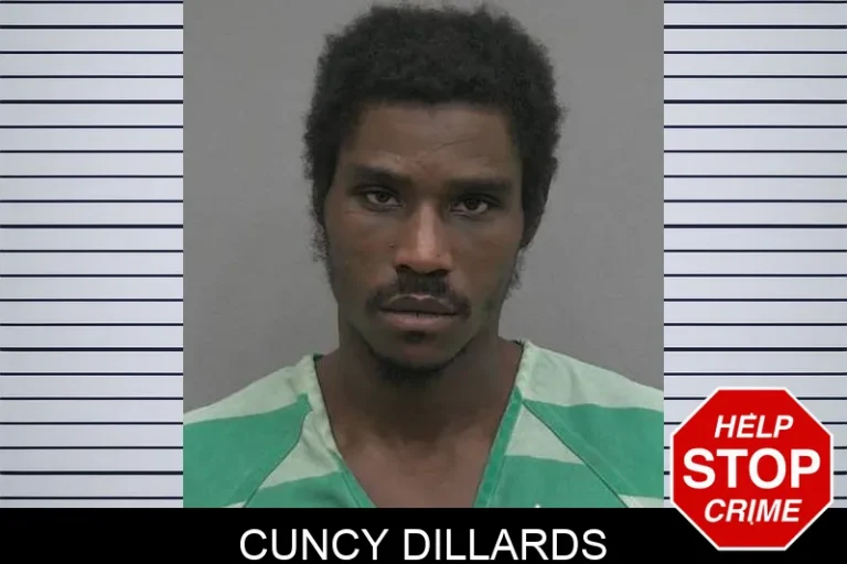 CuNcy Dillards