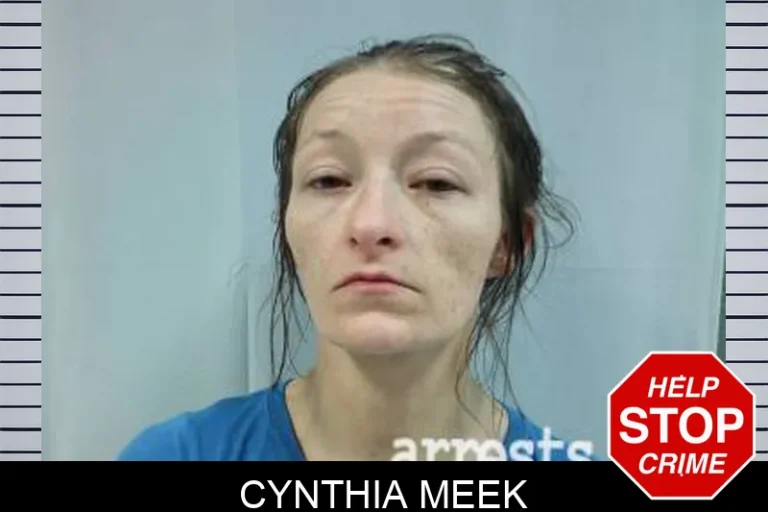 Cynthia Meek