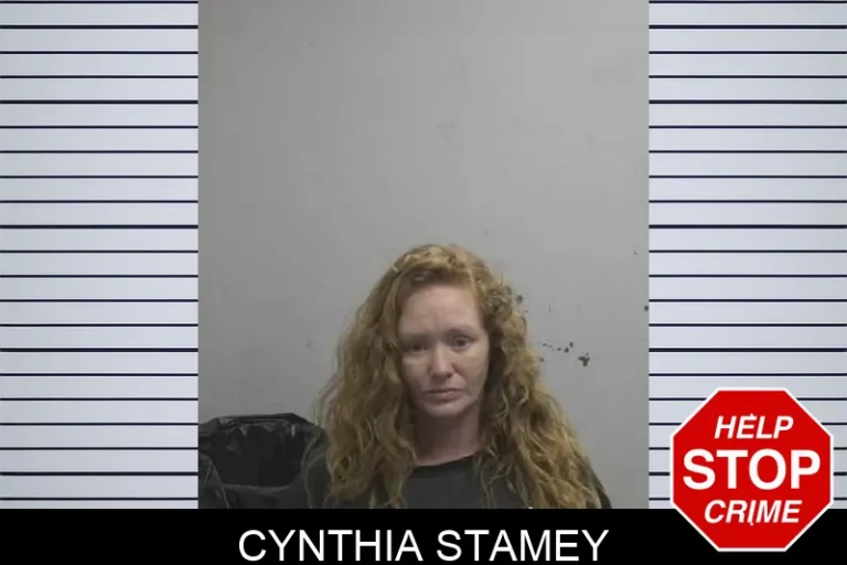 Cynthia Stamey