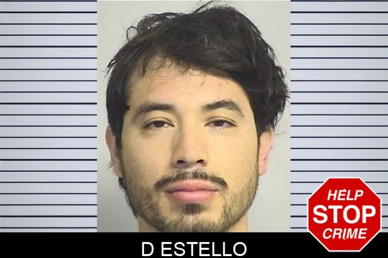 D Estello