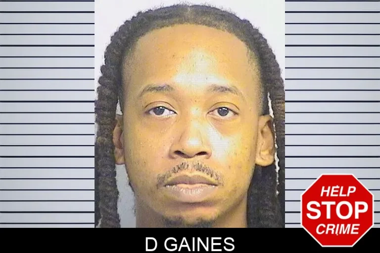 D Gaines