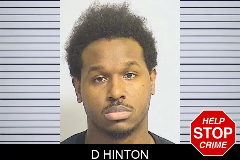 D Hinton