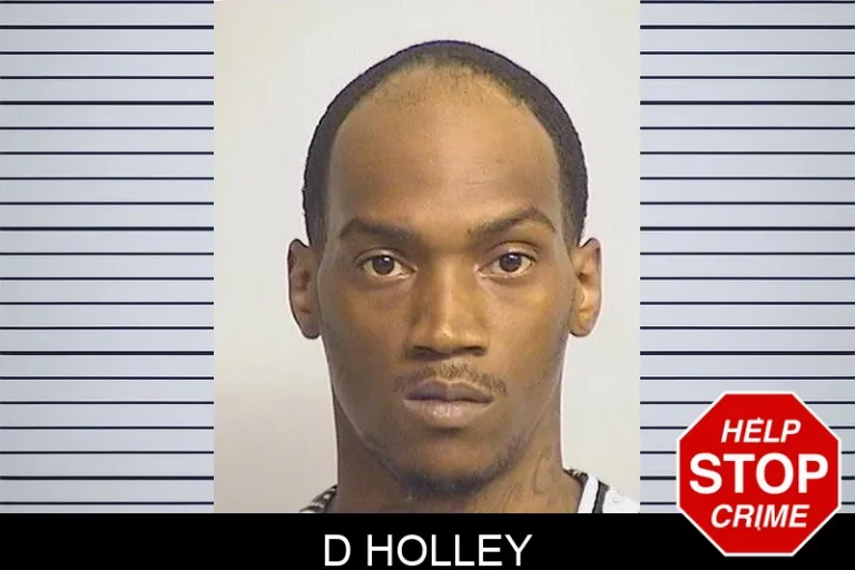 D Holley