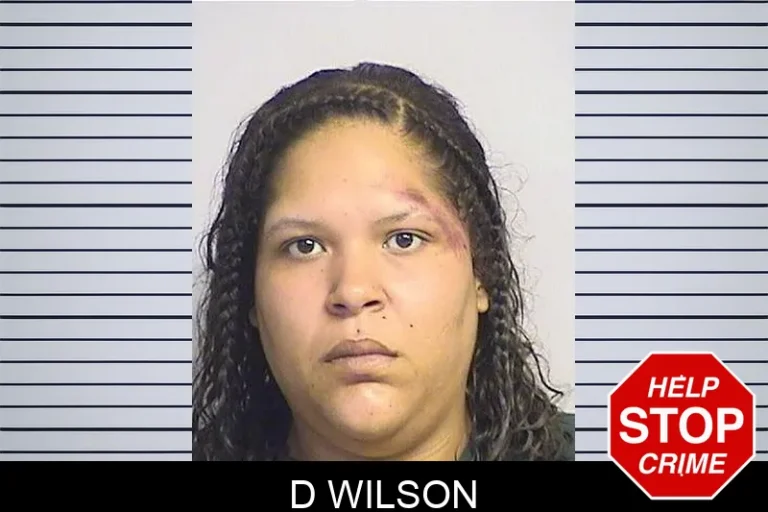 D Wilson