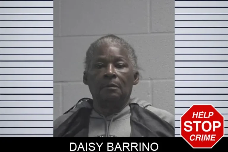 Daisy Barrino