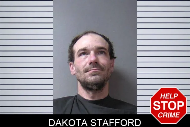 Dakota Stafford