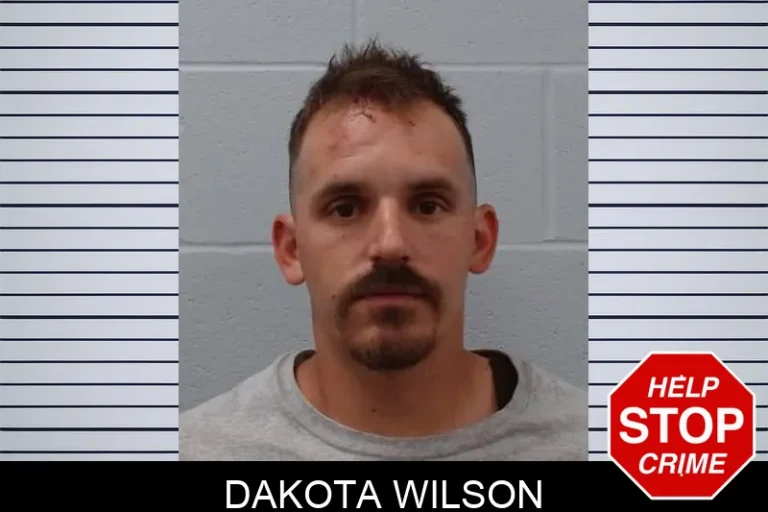 Dakota Wilson