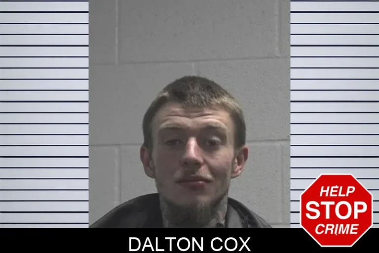 Dalton Cox