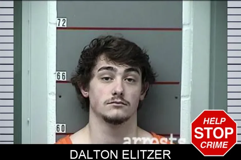 Dalton Elitzer