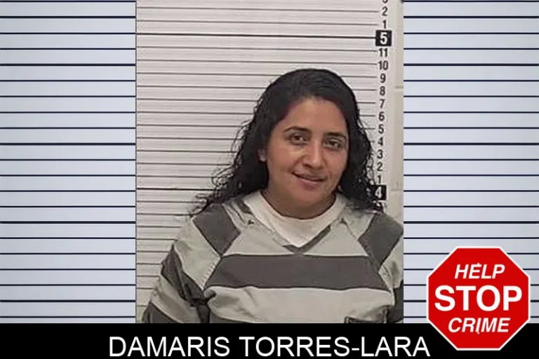 Damaris Torres-Lara