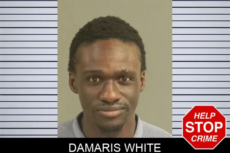 Damaris White