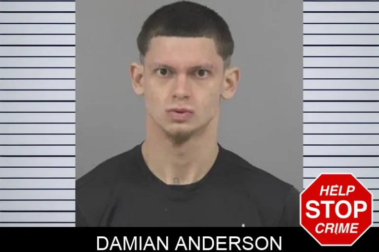 Damian Anderson