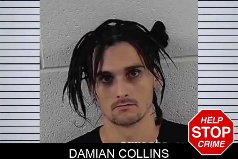 Damian Collins