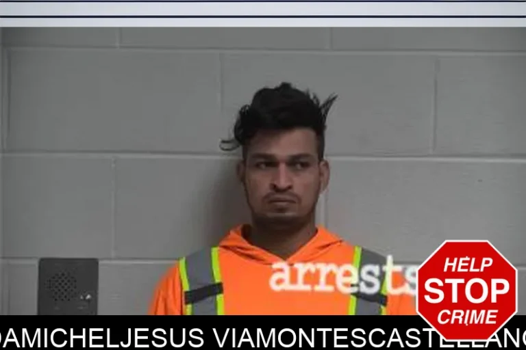 DamichelJesus ViamontesCastellano