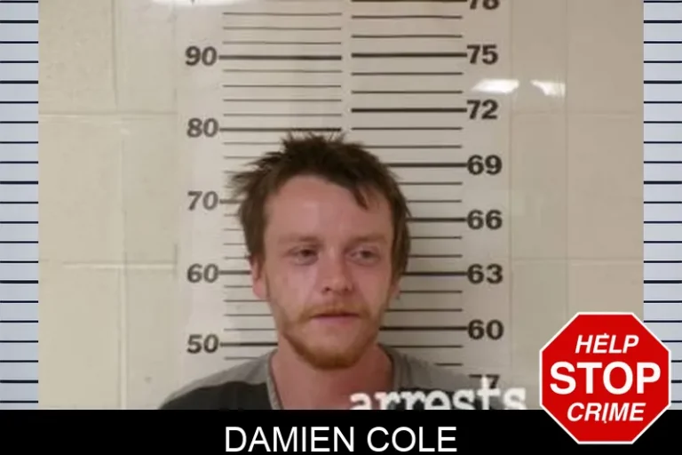 Damien Cole
