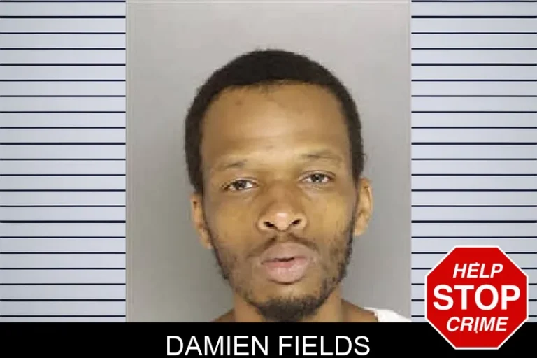 Damien Fields