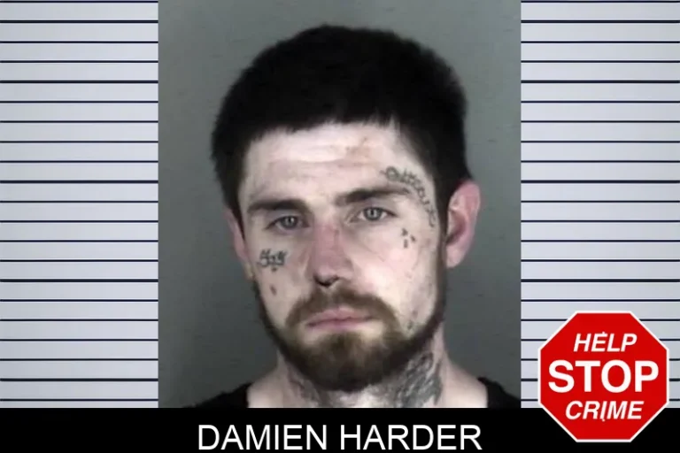 Damien Harder