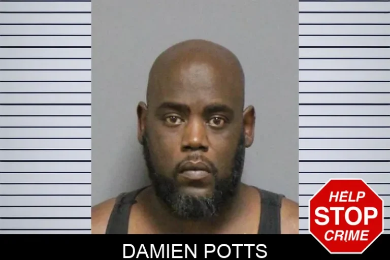 Damien Potts