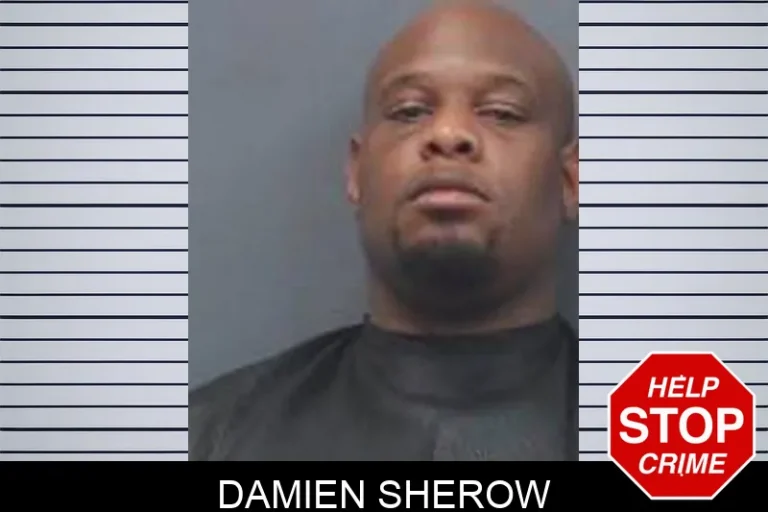 Damien Sherow