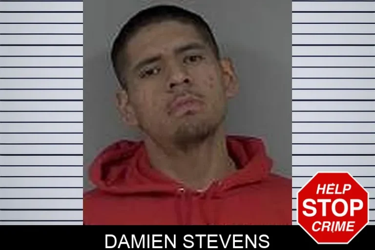 Damien Stevens