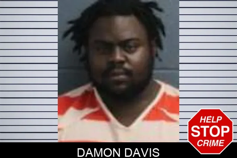 Damon Davis