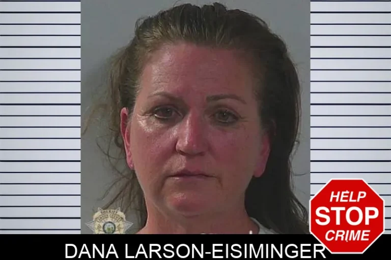 Dana Larson-Eisiminger