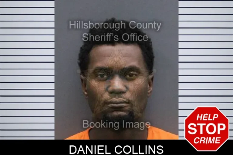 Daniel Collins