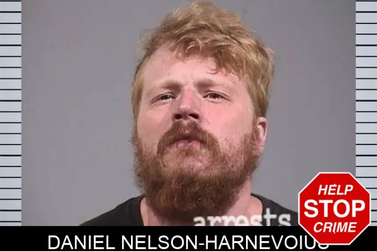 Daniel Nelson-Harnevoius