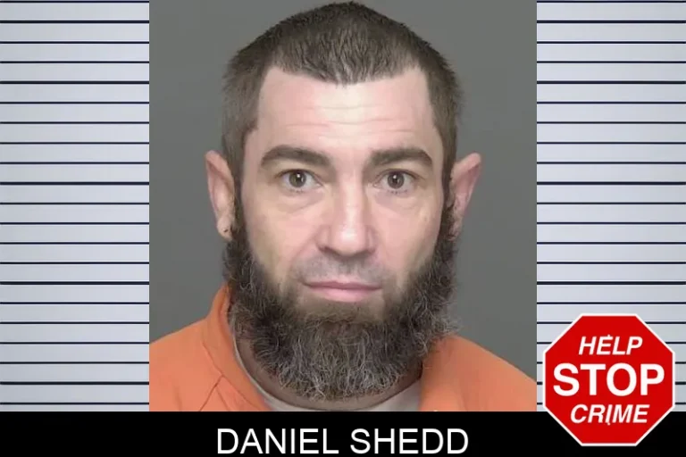 Daniel Shedd
